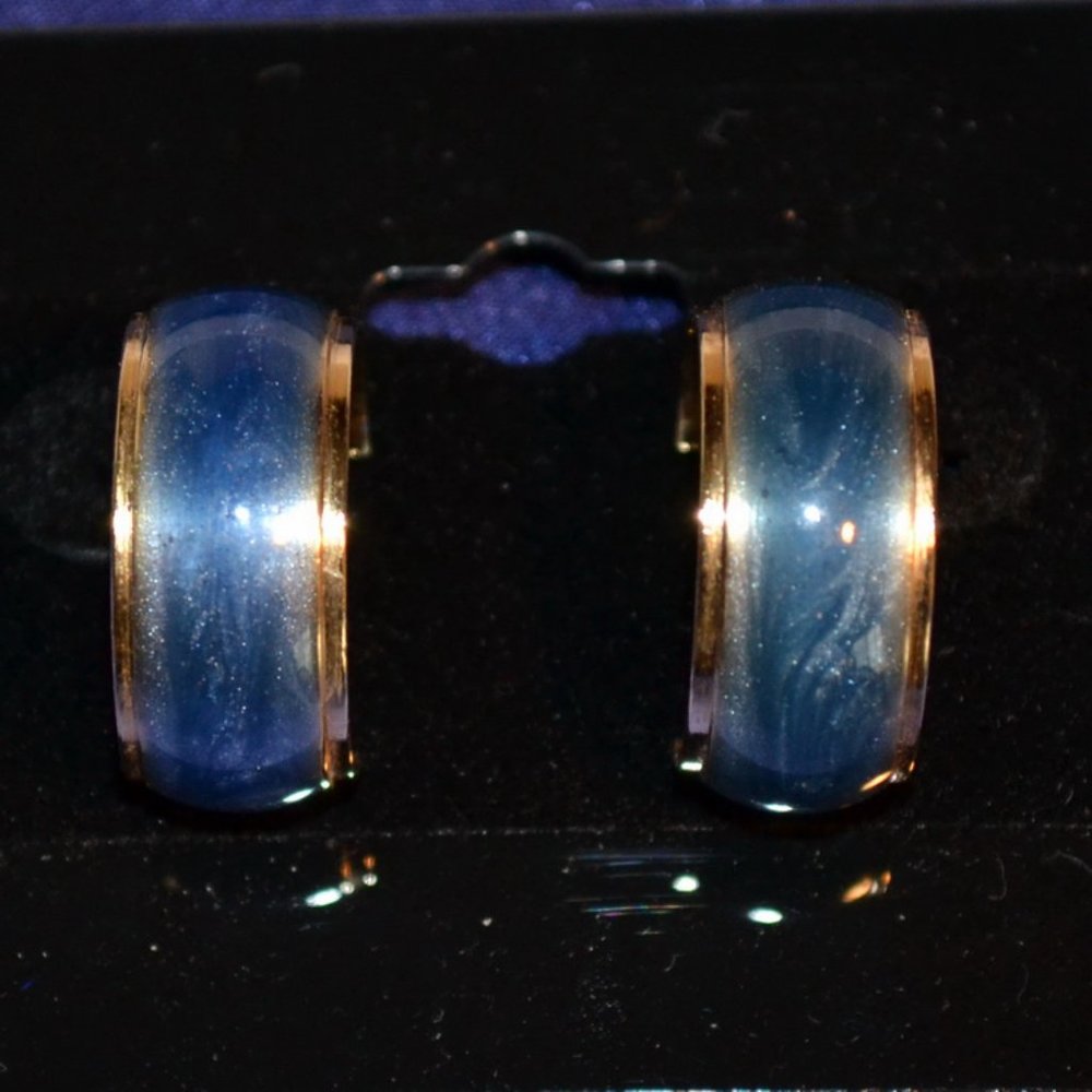 Blue Enamel Hoop Earrings
